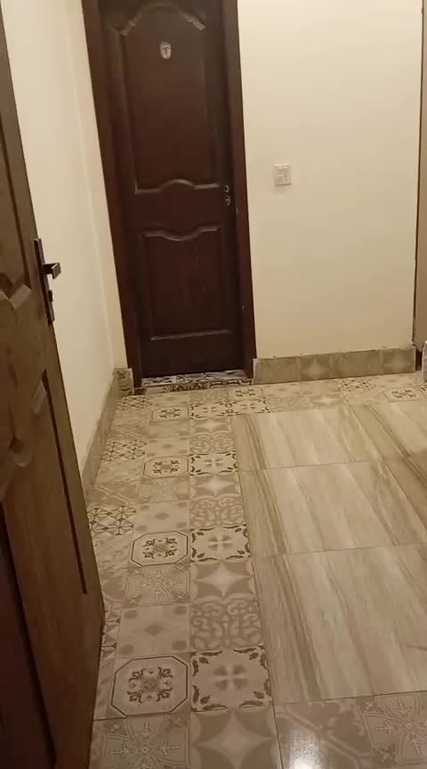 WhatsApp Video 2025-08-21 at 4